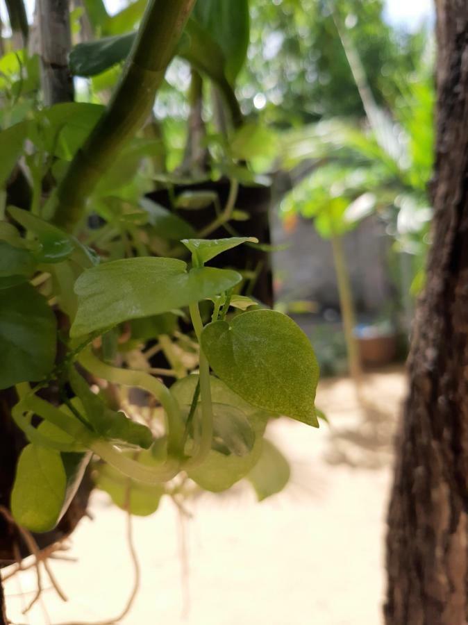 Connect Phan Thiet Exterior foto