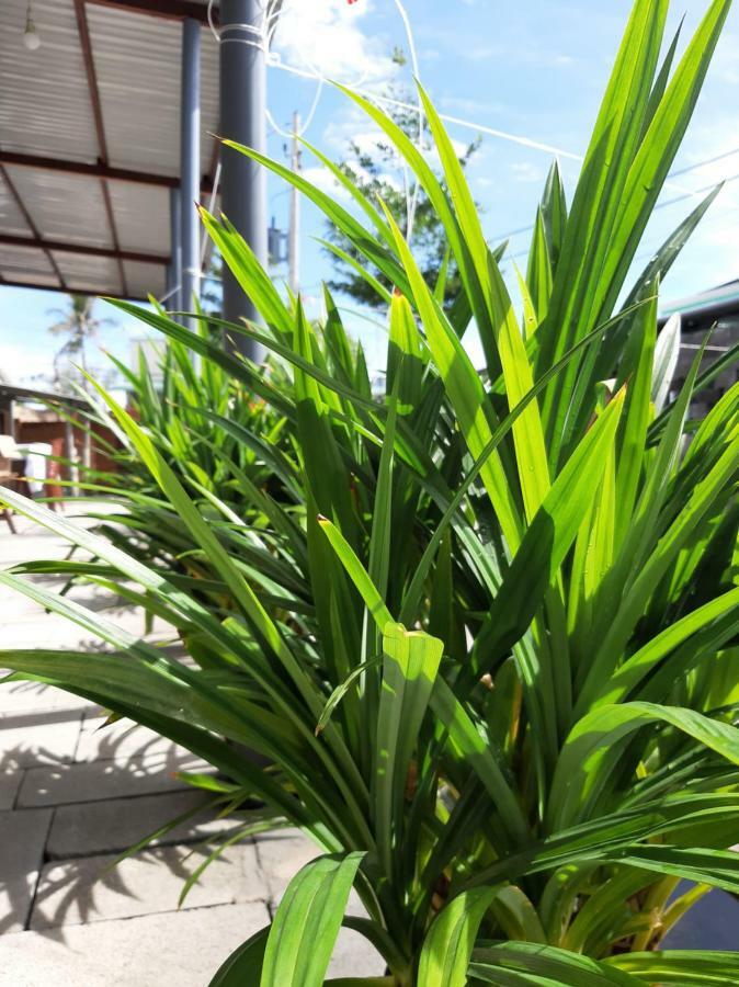 Connect Phan Thiet Exterior foto